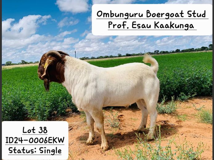 24-0006EKW | PROF. ESAU KAAKUNGA