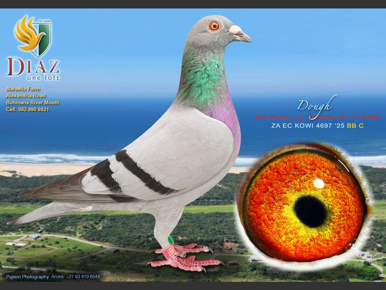 images