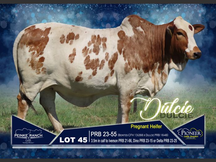 PRB 230055 | PEINKE RANCH