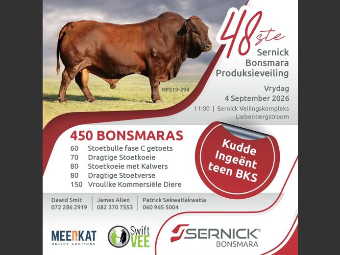 SERNICK BONSMARA 48STE PRODUKSIE VEILING
