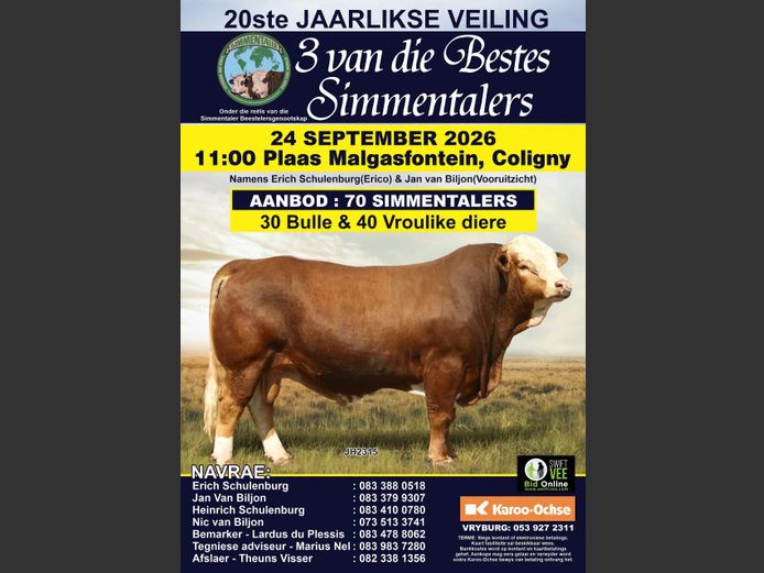 3 VAN DIE BESTES SIMMENTALERS 20STE JAARLIKSE VEILING