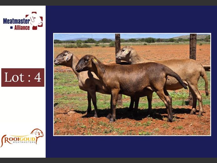 Ooie | Rooigoud Meatmasters