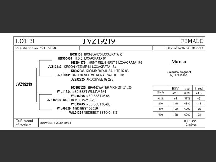 JVZ19-219