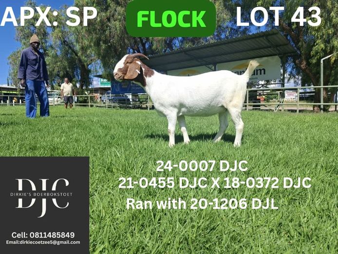 24-0007 DJC | DIRKIE COETZEE