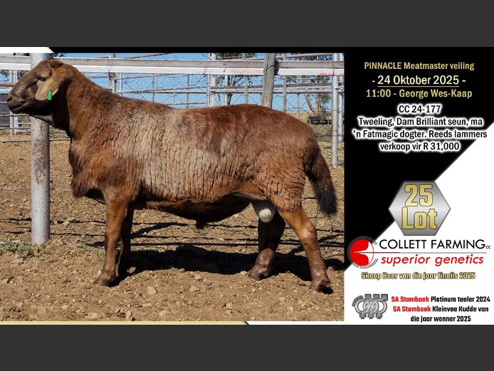 CC  240177 | COLLETT FARMING CC