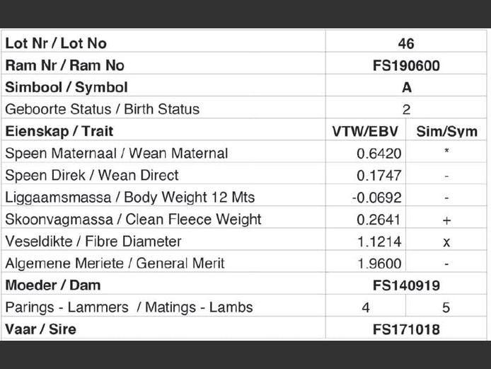 FS190600