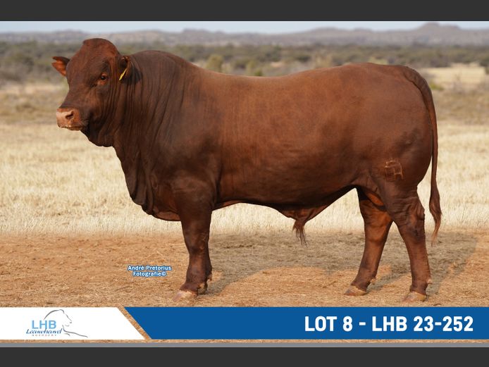 LHB230252 | LEEUHEUWEL BOERDERY (EDMS) BPK