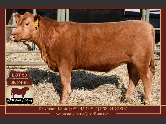 JK240063 | J. KAHTS