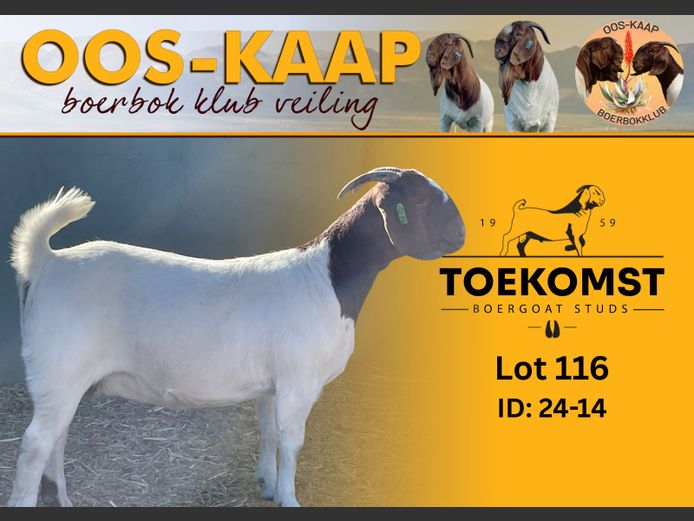 24-14 | Johnny Henderson