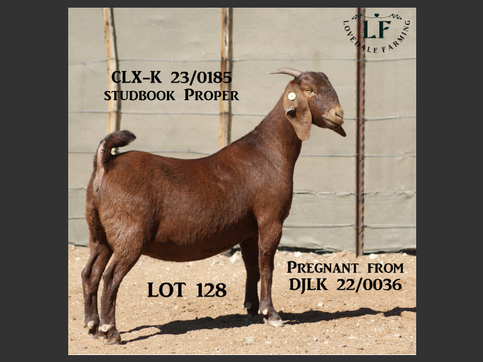 LOVEDALE FARMING | 23-0185CLX-K
