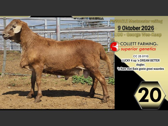 CC250110 | COLLETT FARMING CC