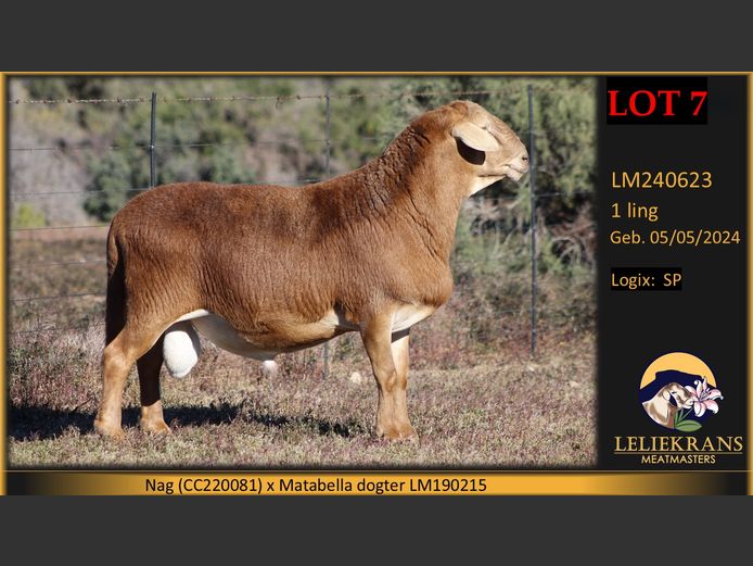 LM 24 0623 | Leliekrans Meatmasters