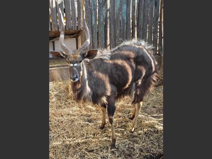 NJALA | TK BOERDERY