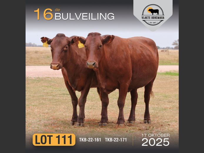 Commercial Animals | TKB BONSMARAS