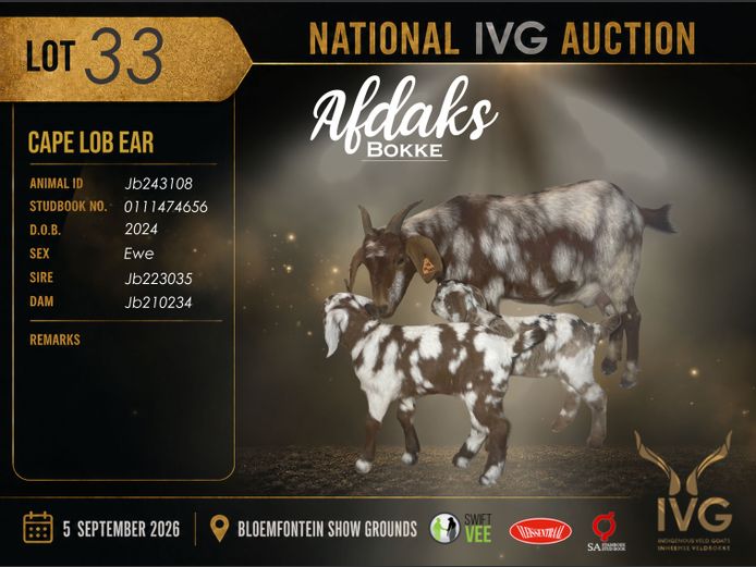 JB24 3108 | AFDAKS BOKKE