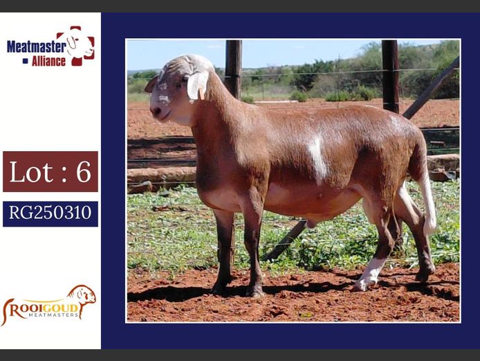 5355 | Rooigoud Meatmasters