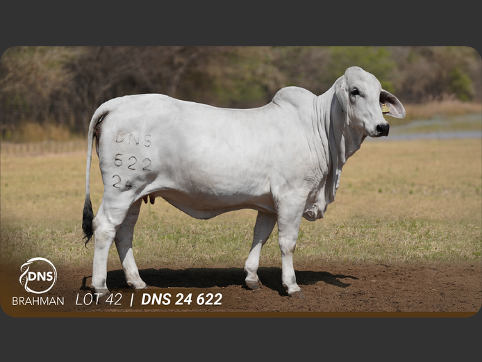 DNS24622 | JES-C BOERDERY (PTY) LTD