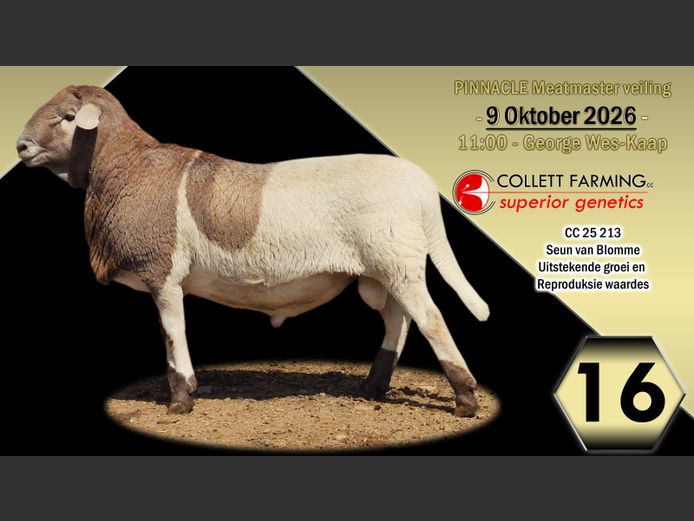 CC250213 | COLLETT FARMING CC