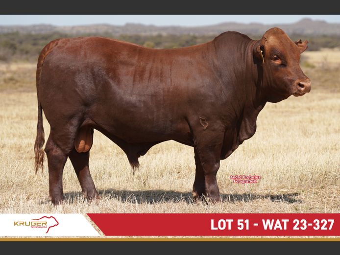 WAT230327 | KRUGER BOERDERY