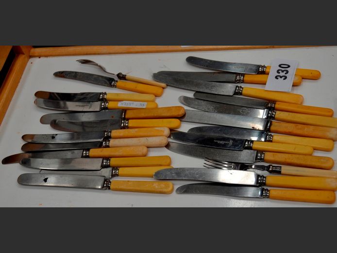 ASSORTED BONE HANDLED & BAKELITE KNIVES