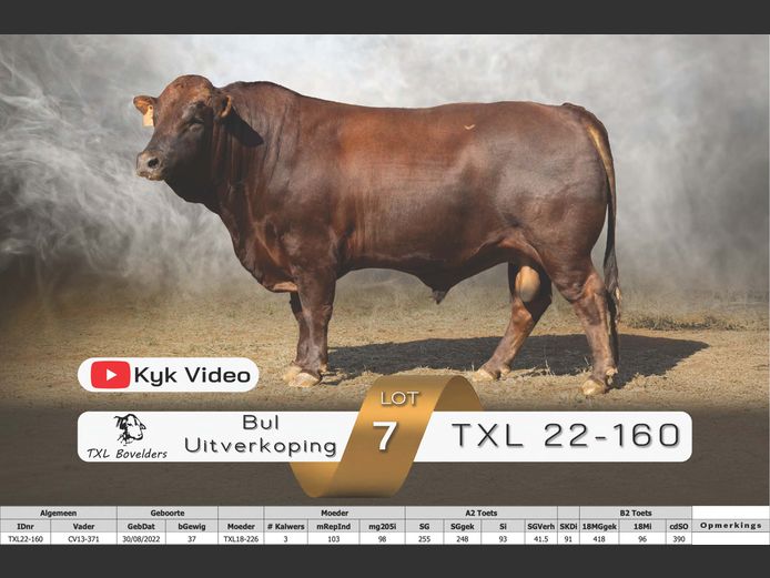 TXL22-160