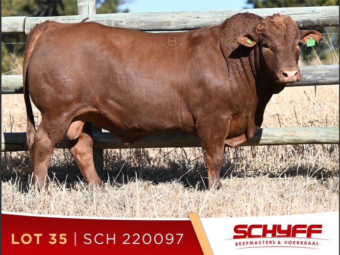 SCH 220097