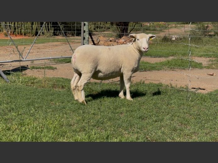 DH 220078 | HEYMAN DORMERS