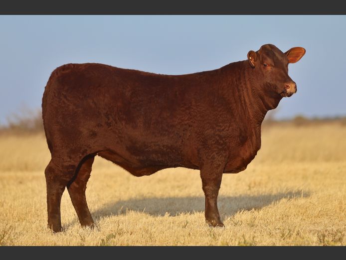 VV  230223 | T. DE JAGER