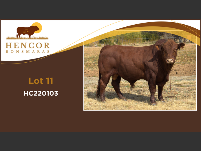 HC  220103 | HENCOR BOERDERY