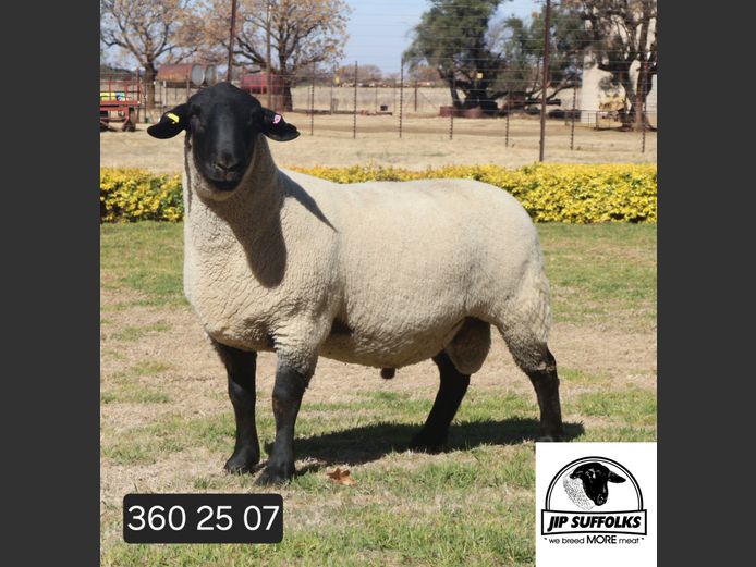 360250007 | J.I. POTGIETER