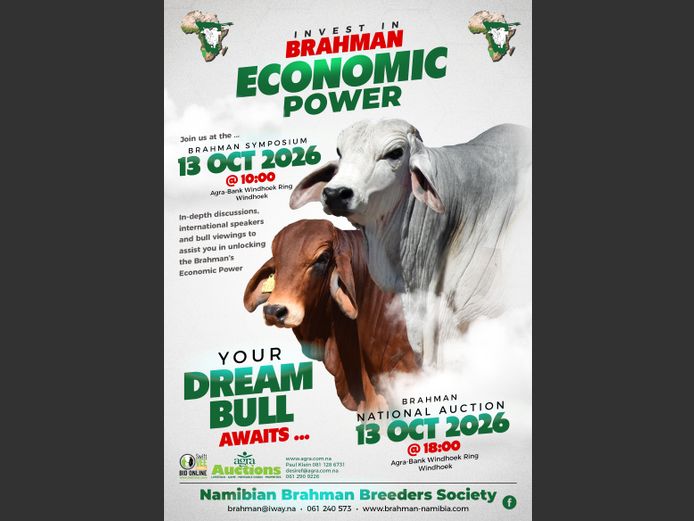 BRAHMAN NATIONAL AUCTION