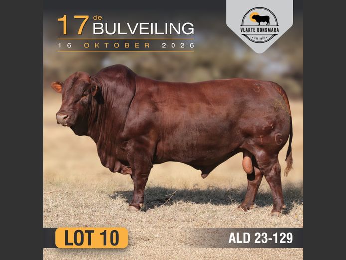 ALD230129 | ALDIGO BONSMARAS