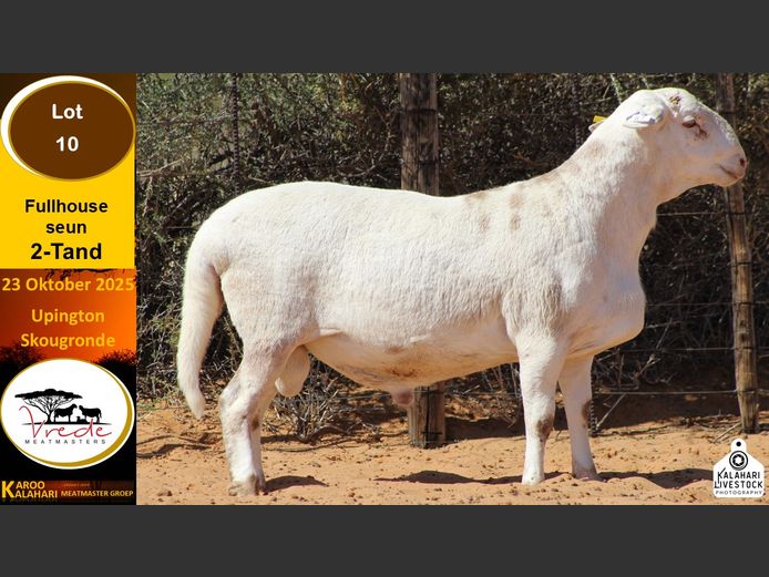 PS 10 | Peter & Christia Scholtz - Vrede Meatmasters