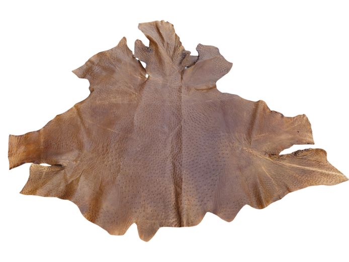 Genuine Brown Ostrich Leather Game Hide Skin