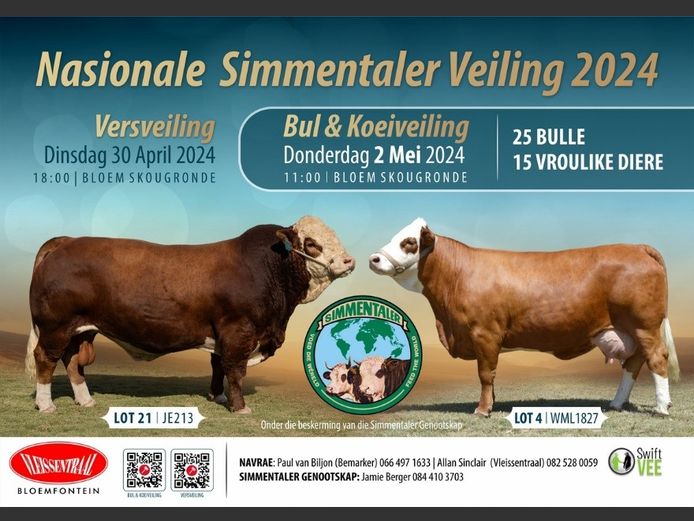 NASIONALE SIMMENTALER VEILING 2024 (BUL & KOEI VEILING)