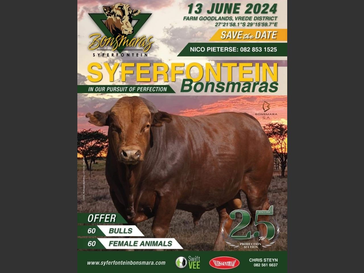 SYFERFONTEIN BONSMARAS AUCTION | SwiftVEE | South Africa’s Leading ...