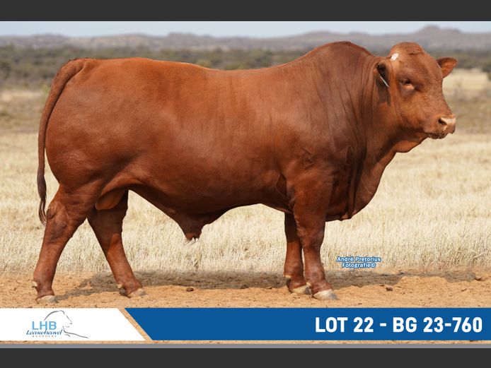 BG230760 | LEEUHEUWEL BOERDERY (EDMS) BPK