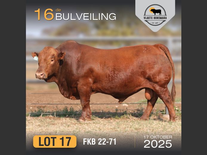 FKB 220071 | FRITS KROON BOERDERY