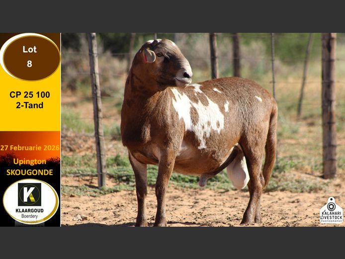 CP 25 100 | Chris Potgieter & Christia Scholtz - Klaargoud Boerdery