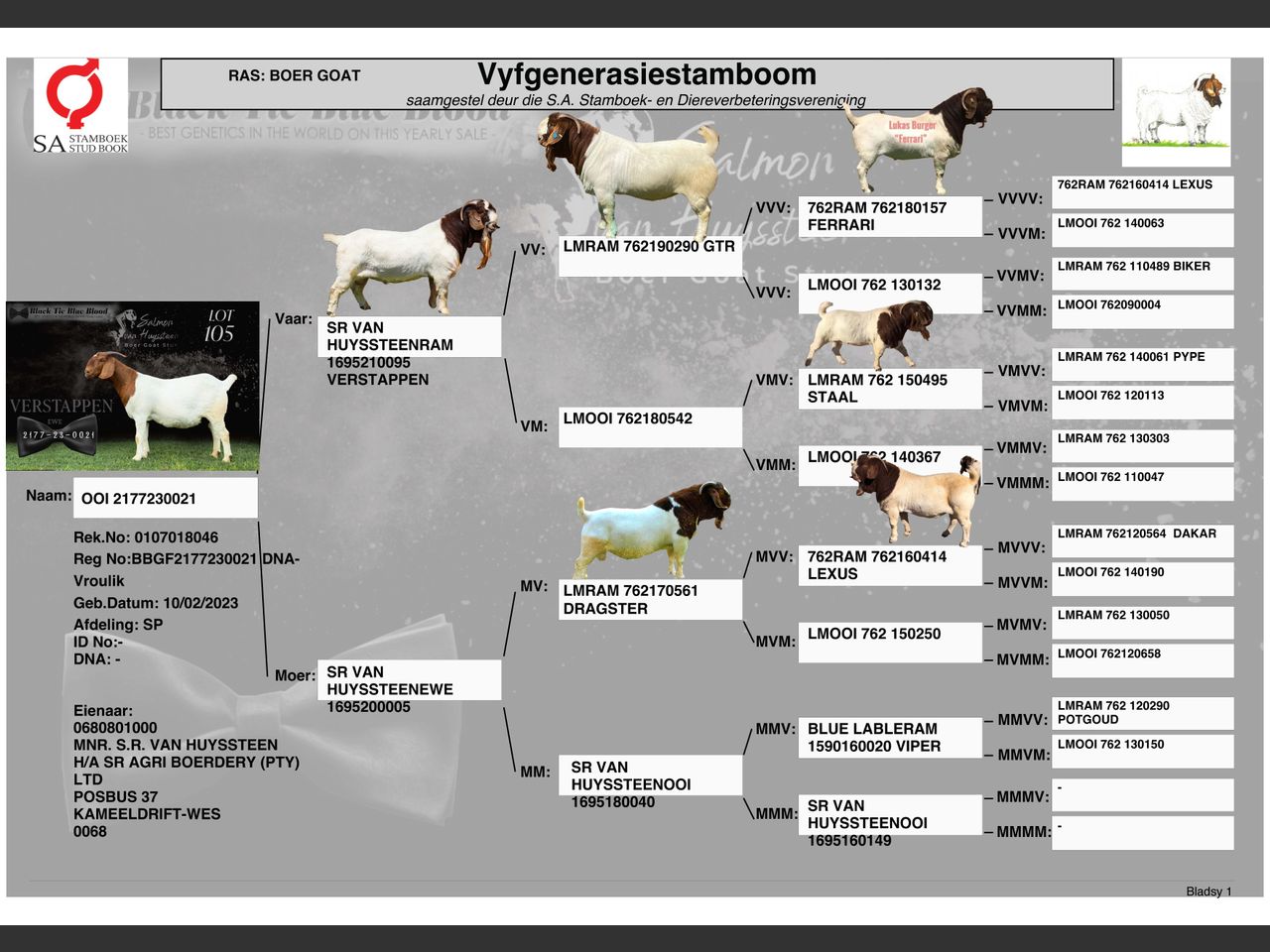 genetic_data