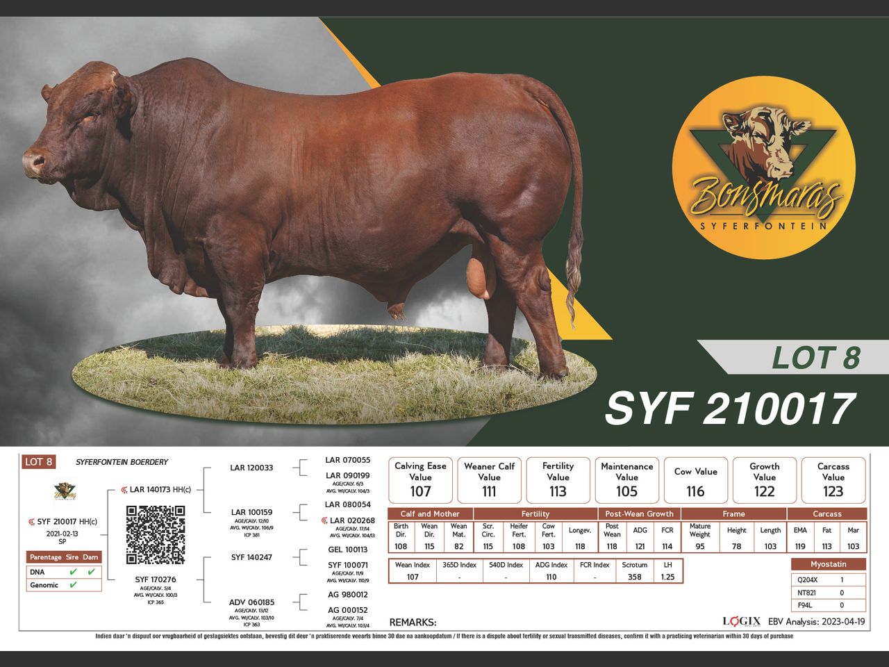 Lot 8 | SYFERFONTEIN BONSMARAS 24STE PRODUKSIEVEILING | SwiftVEE ...