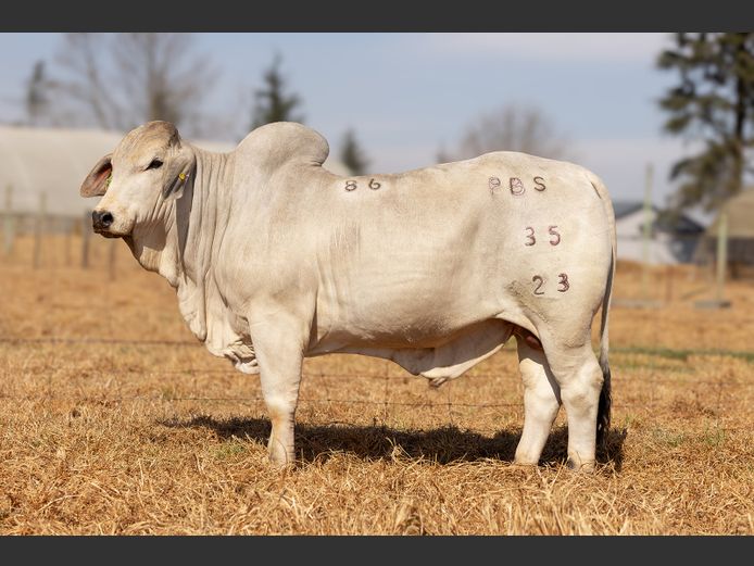 PBS 23-35 | Power Brahman