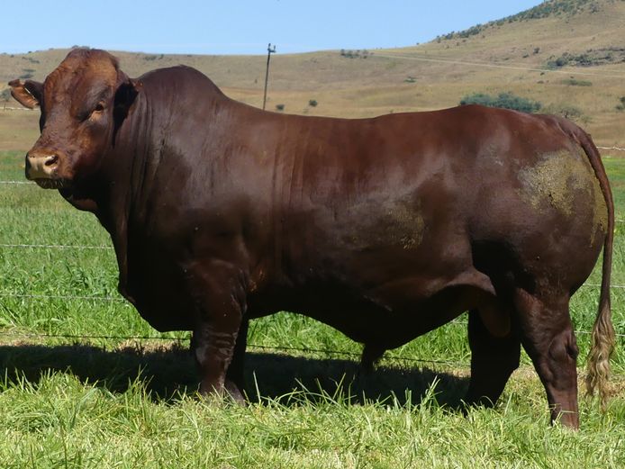 LAR 230362 | UP GEORGE FARMS CC