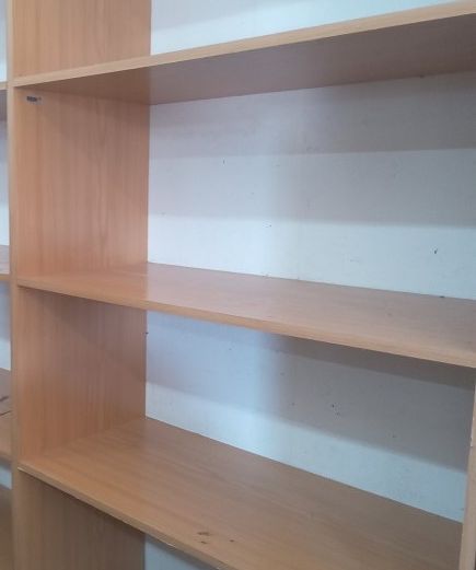 Wooden book and files shelf