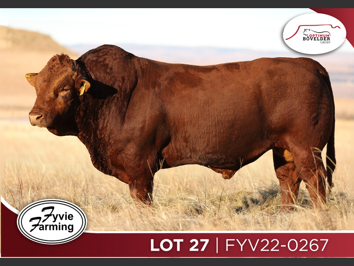FYV22-0267