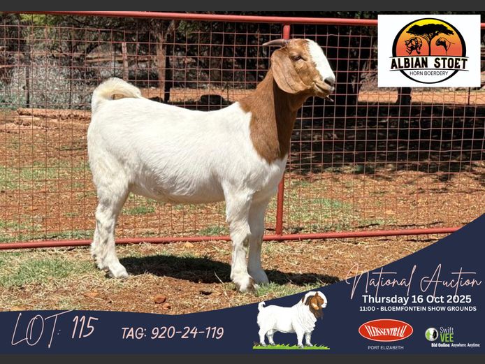 920 240119 | Albie en Louwan Horn