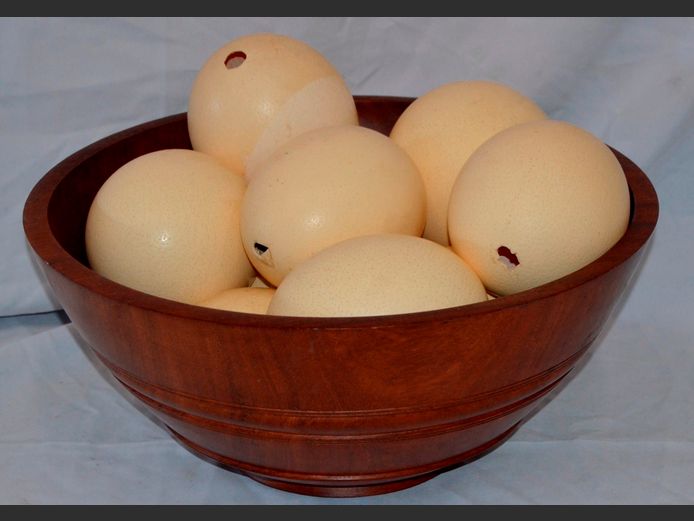 LARGE WOODEN BOWL WITH COLLECTION OSTRICH EGGS, 44cm Diameter x 20cm High