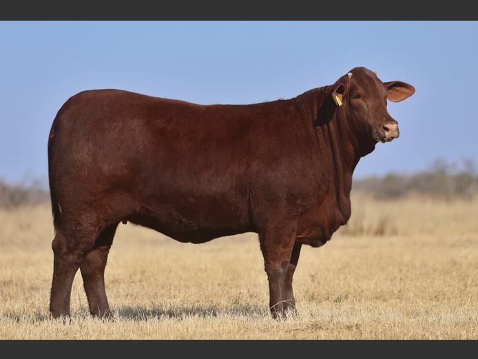 VV  230209 | T. DE JAGER