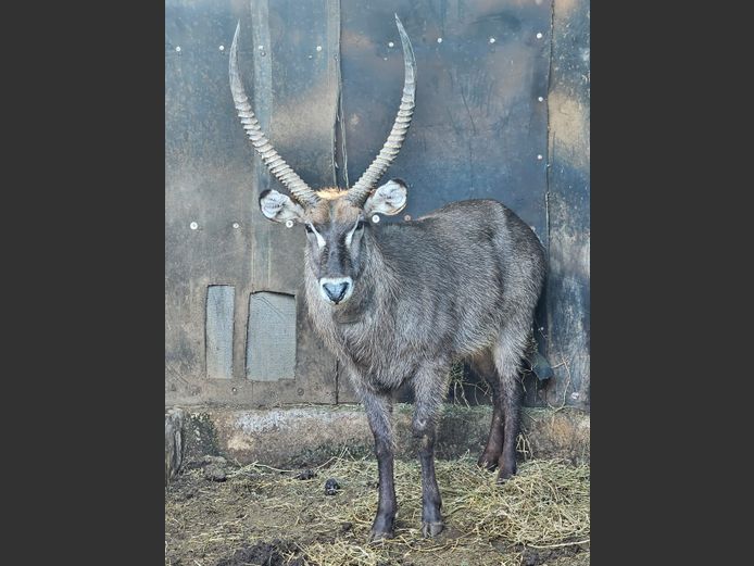 WATERBOK | LEKKERBREEK