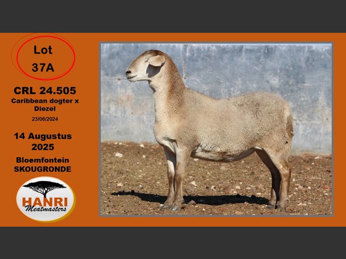 CRL 24 505 | AANGETEKEN | Riaan Liebenberg - Hanri Trust